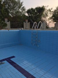 美人魚sf 315游泳池扶梯 ,東莞市企石上博康體設備商行